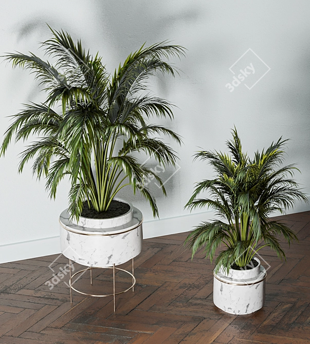 Lush Indoors: Fern Duo 3D model image 6