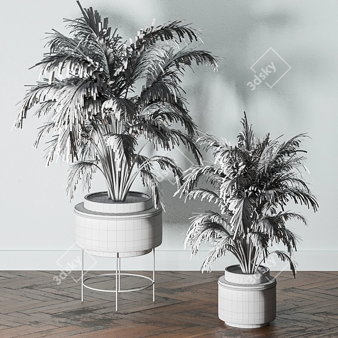 Lush Indoors: Fern Duo 3D model image 7