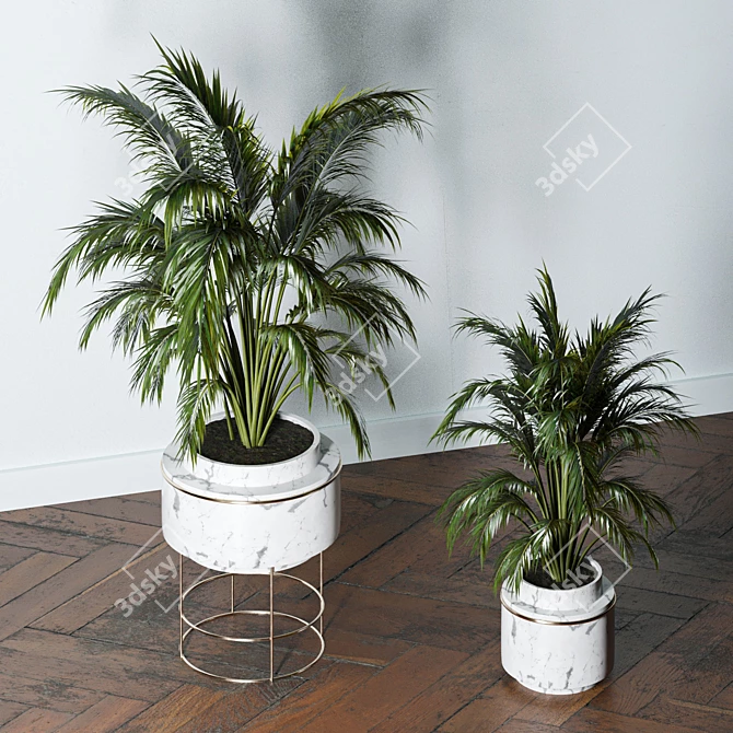 Lush Indoors: Fern Duo 3D model image 8