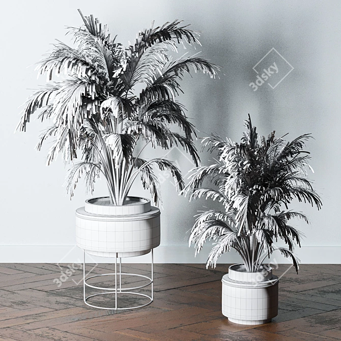 Lush Indoors: Fern Duo 3D model image 9