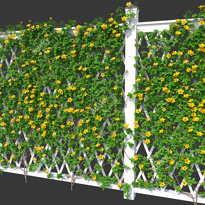 Mandeville Sandera Fence with Yellow Corona Flowers 3D model image 2