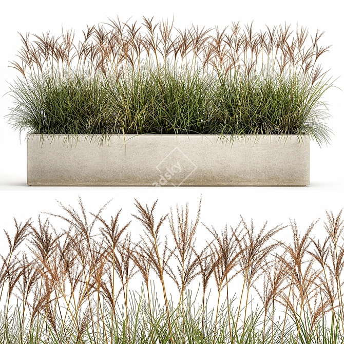 Exquisite Plant Collection: Indoor and Outdoor Beauties 3D model image 7