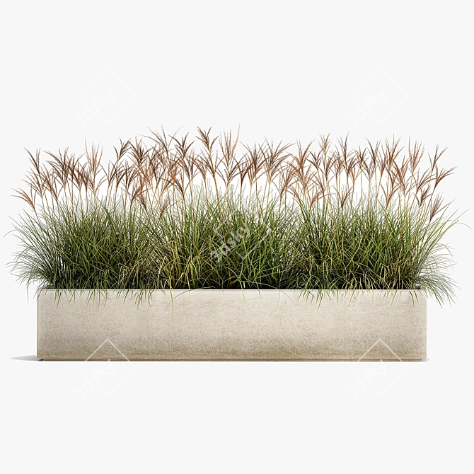 Exquisite Plant Collection: Indoor and Outdoor Beauties 3D model image 5