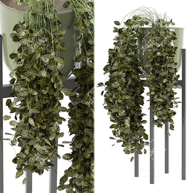 Modern Indoor Plants in Bau Pot 3D model image 1