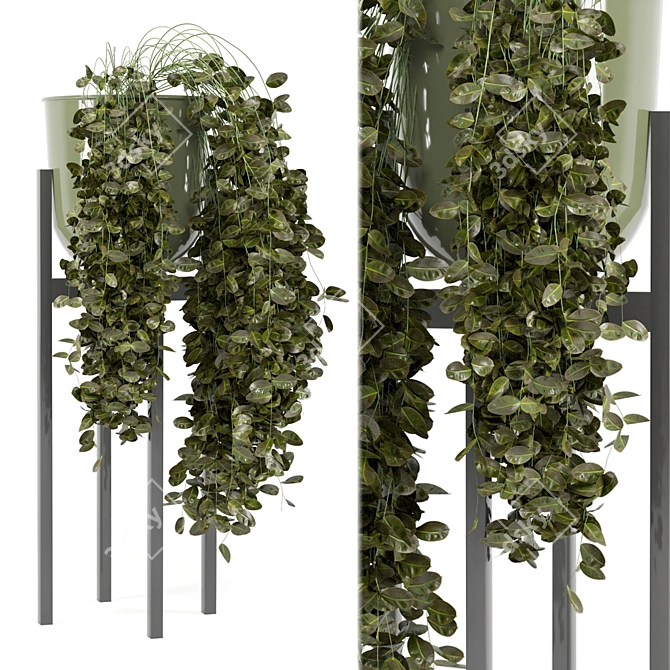 Modern Indoor Plants in Bau Pot 3D model image 2