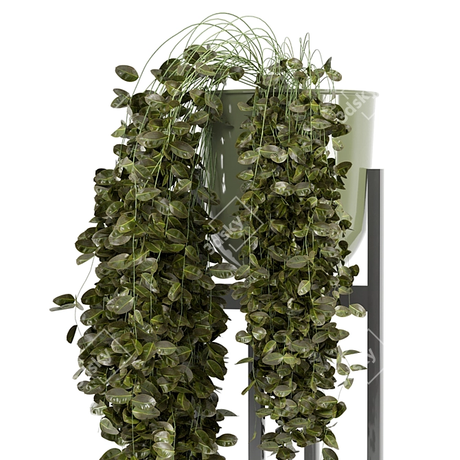 Modern Indoor Plants in Bau Pot 3D model image 3