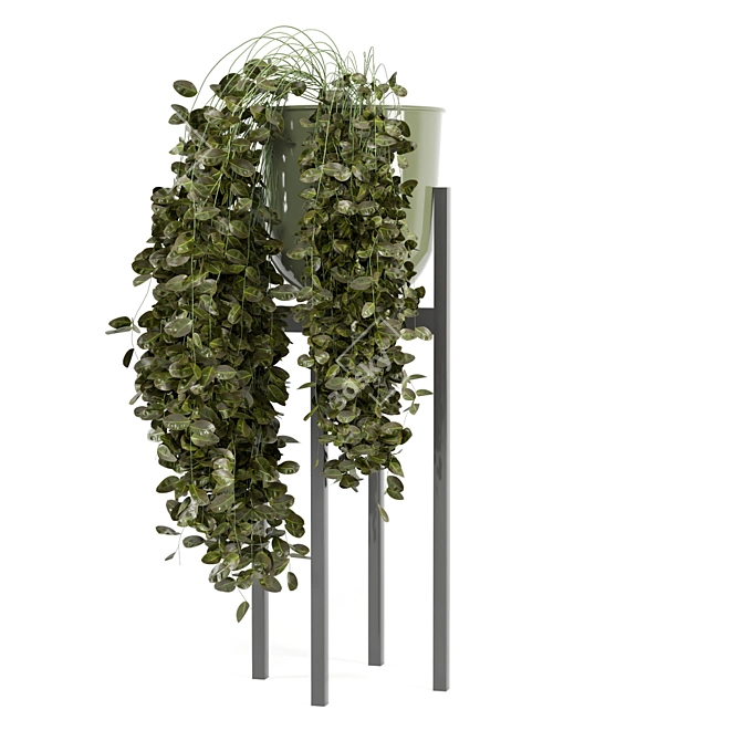 Modern Indoor Plants in Bau Pot 3D model image 5