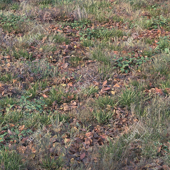 Title: Autumn Grass with Leaves 3D model image 5