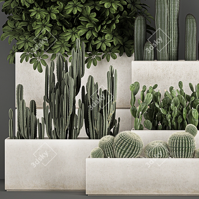 Exotic Cactus Collection: Decorate Your Space with Tropical Plants 3D model image 3