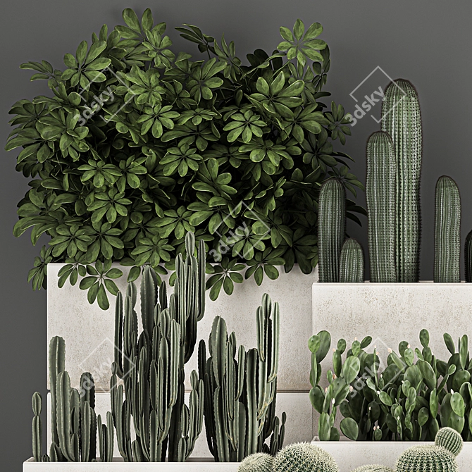 Exotic Cactus Collection: Decorate Your Space with Tropical Plants 3D model image 6