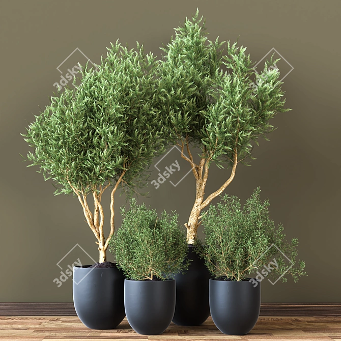 Modern Indoor Plant Collection 3D model image 4