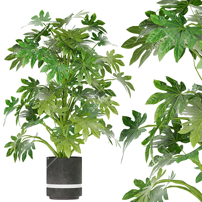 Leafy Vibe - Indoor Plant Collection 3D model image 4