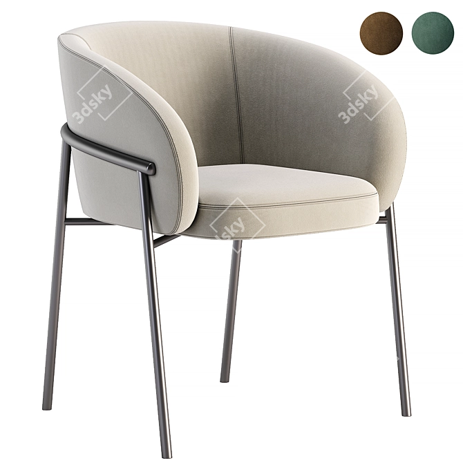 Rimo Modern Dining Chair 3D model image 1