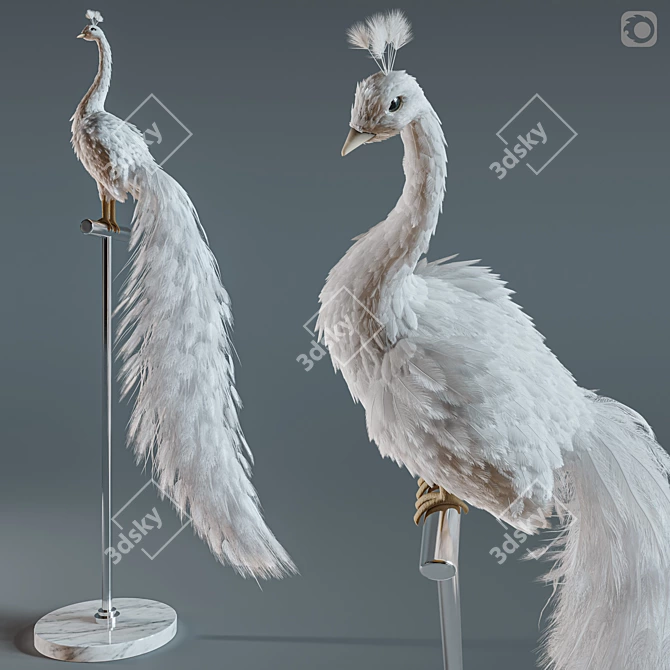 Elegant White Peacock Decoration 3D model image 5