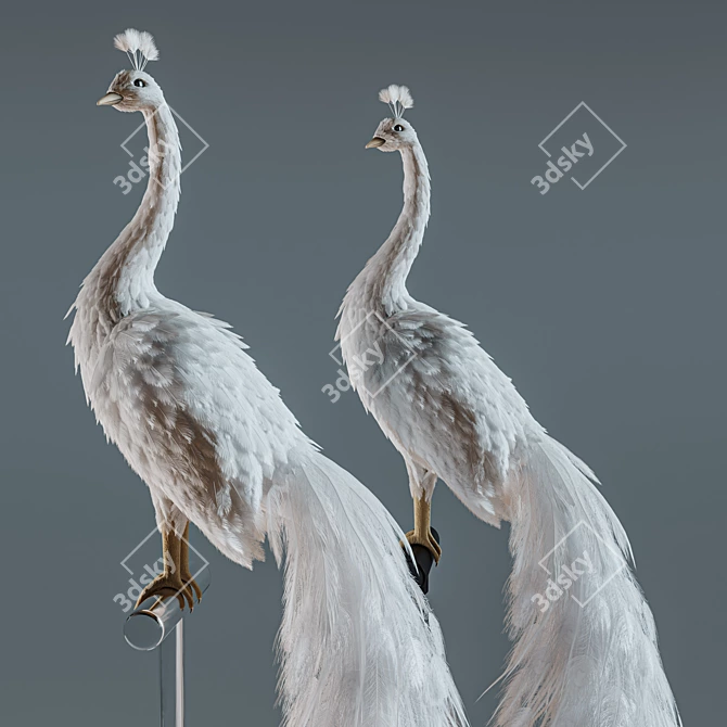 Elegant White Peacock Decoration 3D model image 9