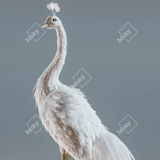 Elegant White Peacock Decoration 3D model image 12