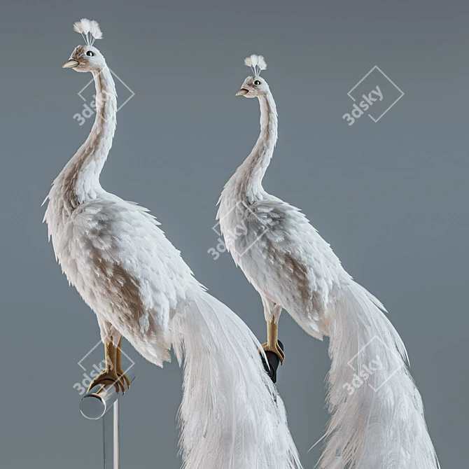 Elegant White Peacock Decoration 3D model image 13