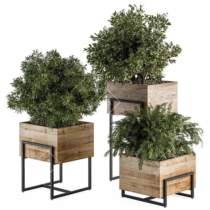 315 Indoor Plant Set: Wood Box 3D model image 1