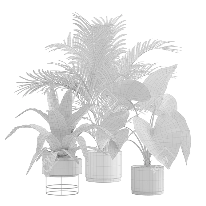 Exotic Indoor Plants Pack 3D model image 5