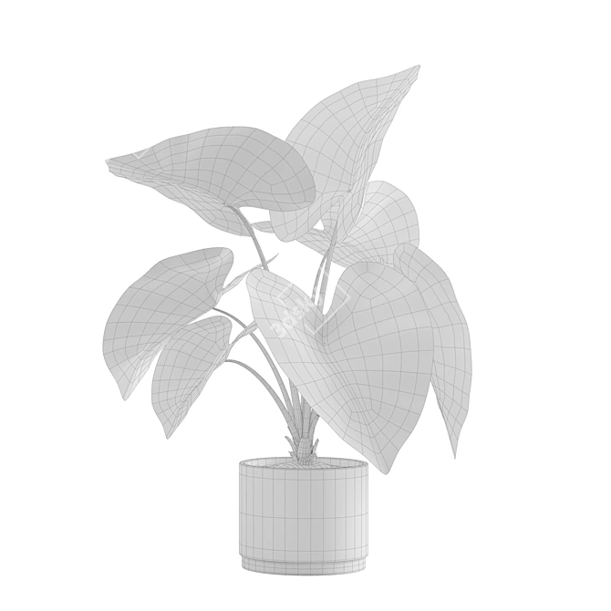 Exotic Indoor Plants Pack 3D model image 6