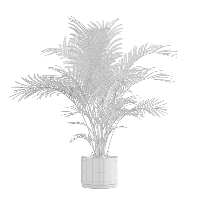 Exotic Indoor Plants Pack 3D model image 7