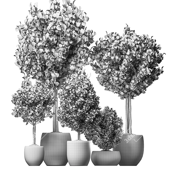 Contemporary Indoor Plant Assortment 3D model image 4