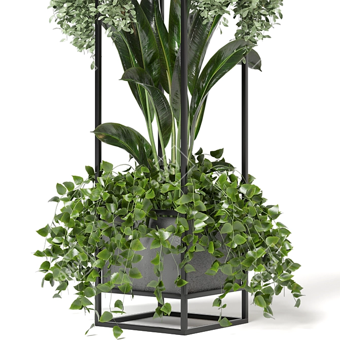 Title: Rusty Concrete Pot Shelf with Indoor Plants 3D model image 4