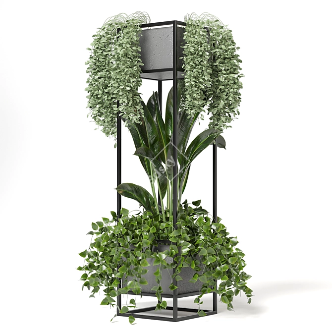 Title: Rusty Concrete Pot Shelf with Indoor Plants 3D model image 6