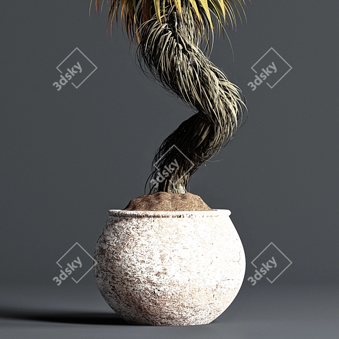 Maximize Your Interior with Indoor Bonsai 3D model image 4