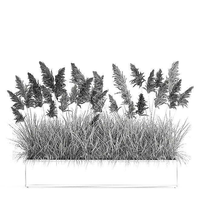 Tropical Plant Collection: Exotic and Decorative Foliage 3D model image 7