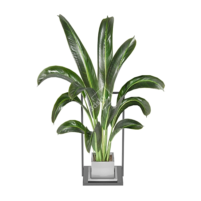 Rusty Concrete Pot with Indoor Plants - Set 124 3D model image 4