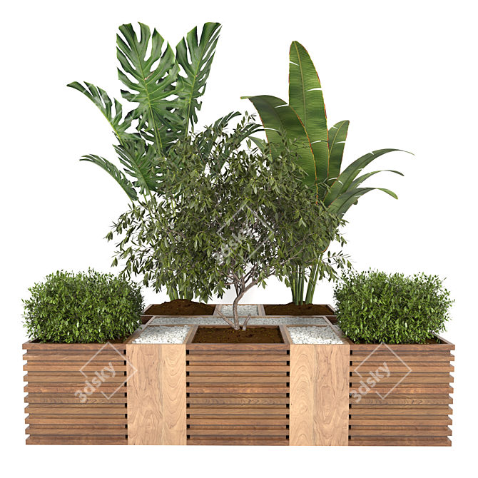 Tropical Plant Collection: Banana, Monstera & More 3D model image 1