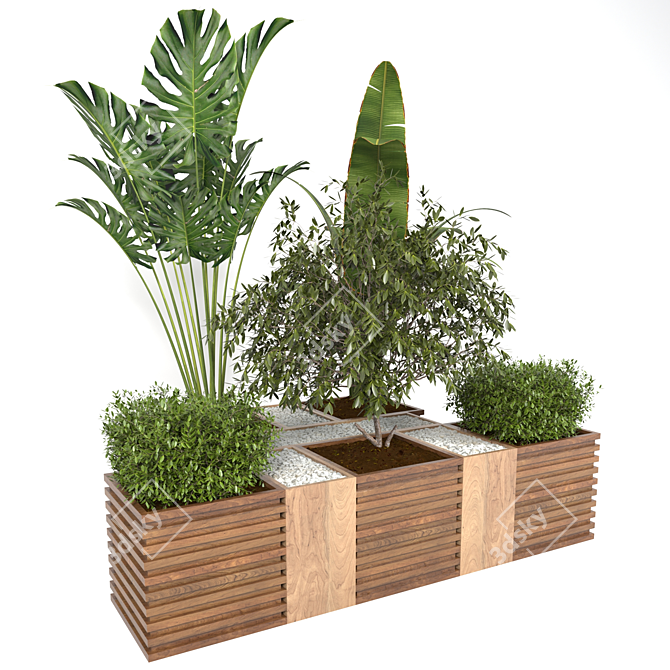 Tropical Plant Collection: Banana, Monstera & More 3D model image 3