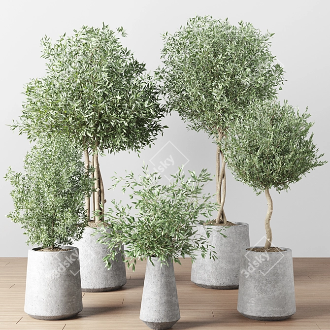 Indoor Oasis Plant Set 3D model image 1