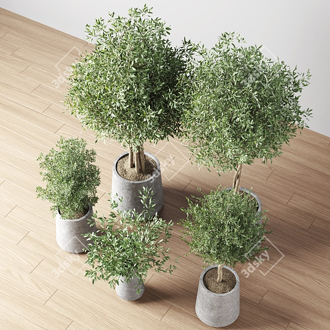 Indoor Oasis Plant Set 3D model image 2
