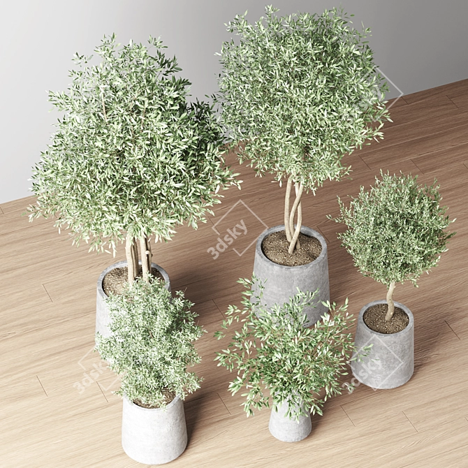 Indoor Oasis Plant Set 3D model image 3