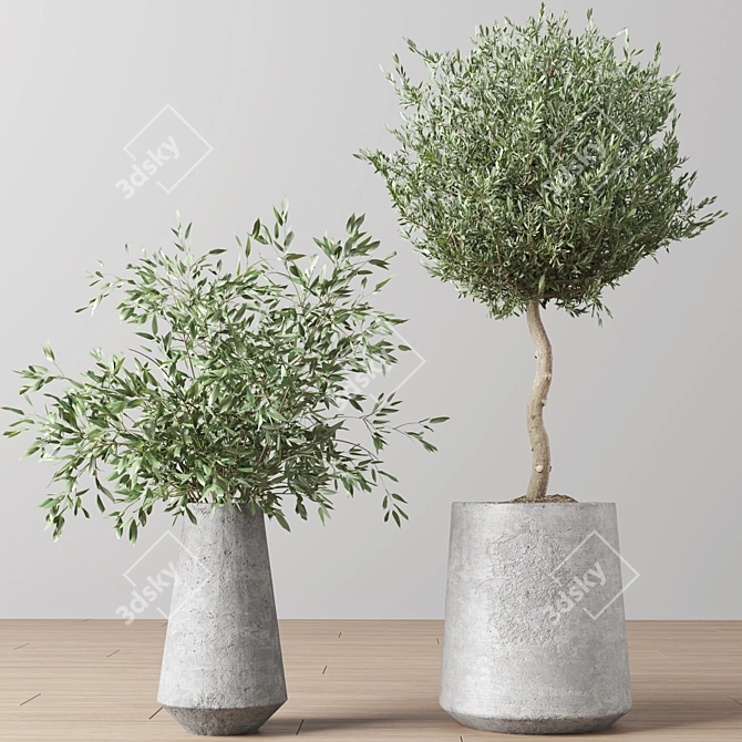 Indoor Oasis Plant Set 3D model image 5