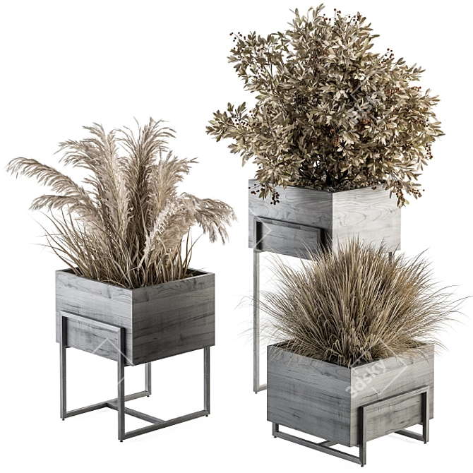 Rustic Dried Plant Set 3D model image 1