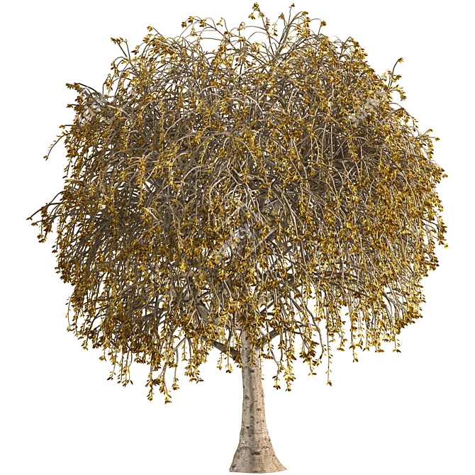 Diverse Tree Collection Vol. 01 3D model image 2
