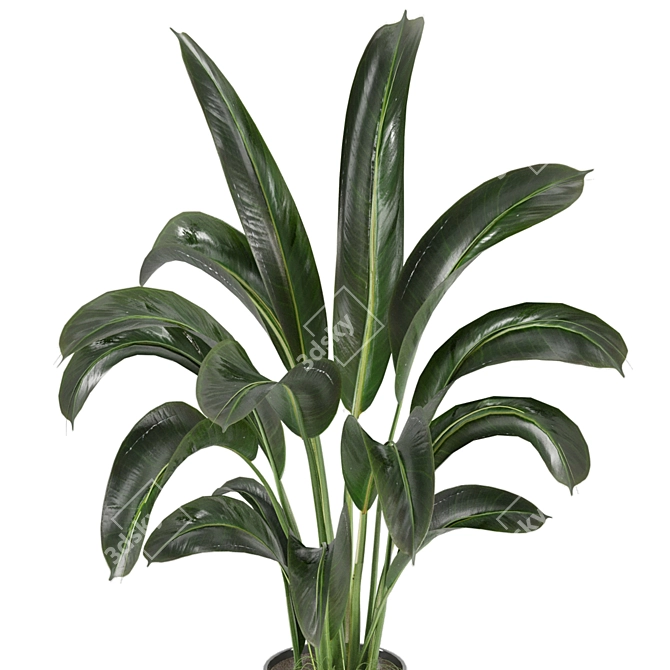 Ferm Living Bau Pot Large with Indoor Plants 3D model image 3