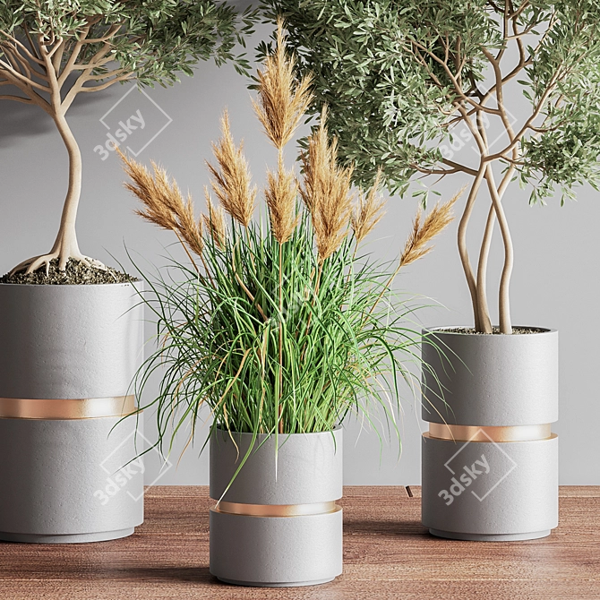 Modern Indoor Set of 16 Plants 3D model image 5