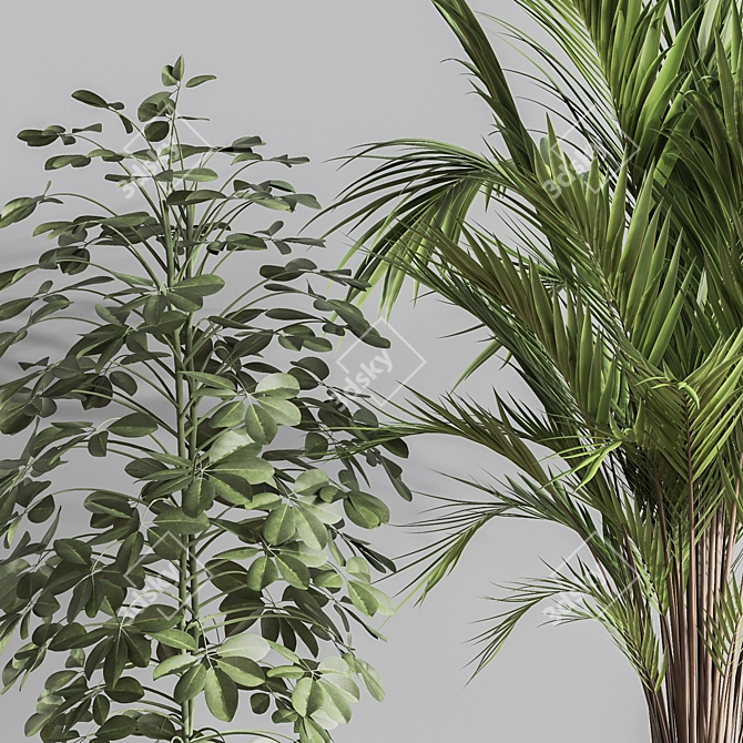 Modern Indoor Set of 16 Plants 3D model image 6