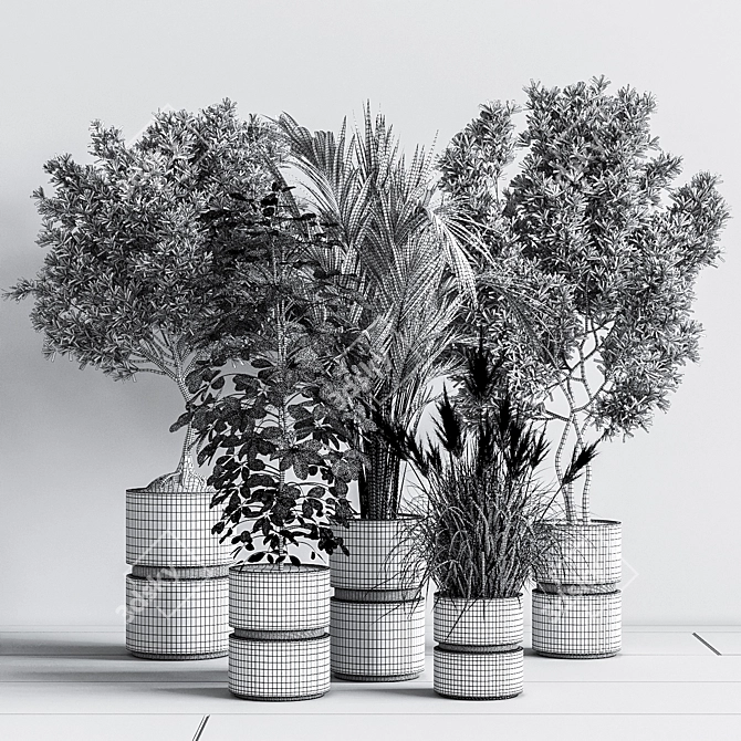 Modern Indoor Set of 16 Plants 3D model image 9