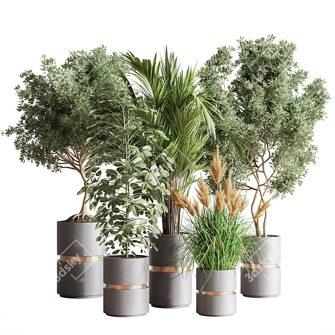 Modern Indoor Set of 16 Plants 3D model image 10