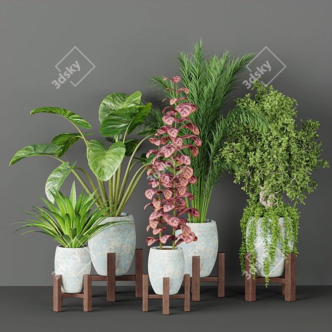 Natural Oasis Vol. 53: Indoor Greenery 3D model image 1