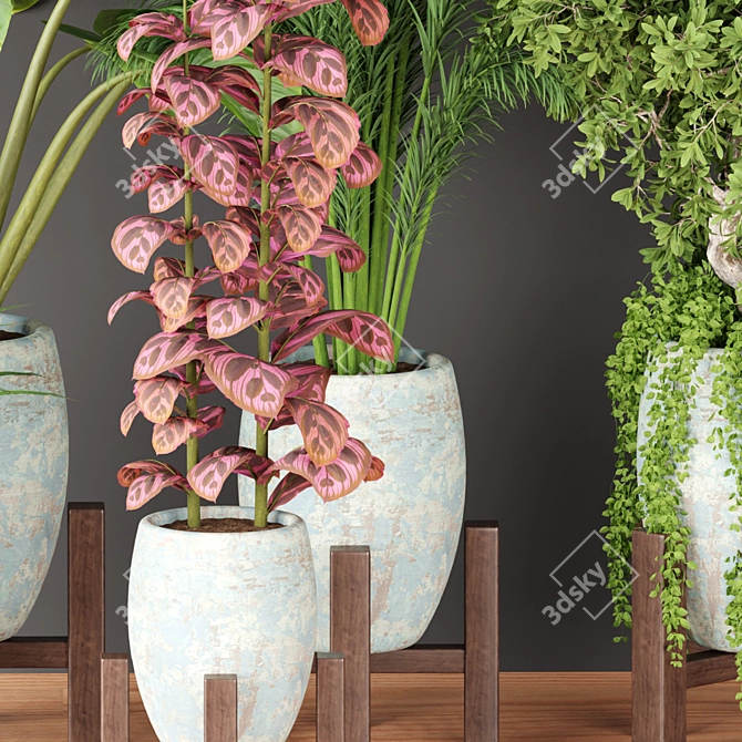 Natural Oasis Vol. 53: Indoor Greenery 3D model image 4