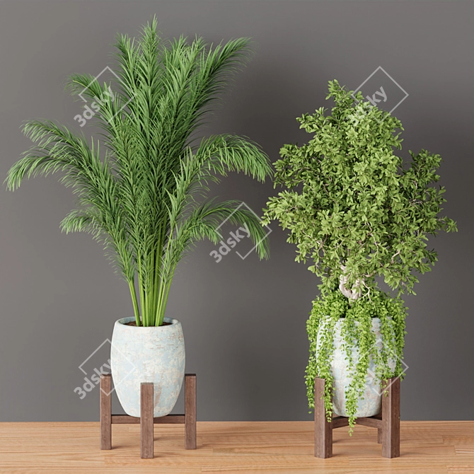 Natural Oasis Vol. 53: Indoor Greenery 3D model image 6