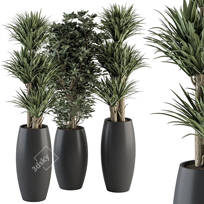 314 Indoor Plant Set in Round Stand 3D model image 1