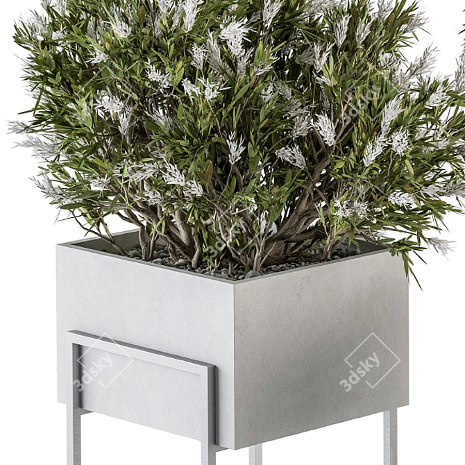 Elegant Greenery: Plant Set in White Box 3D model image 4