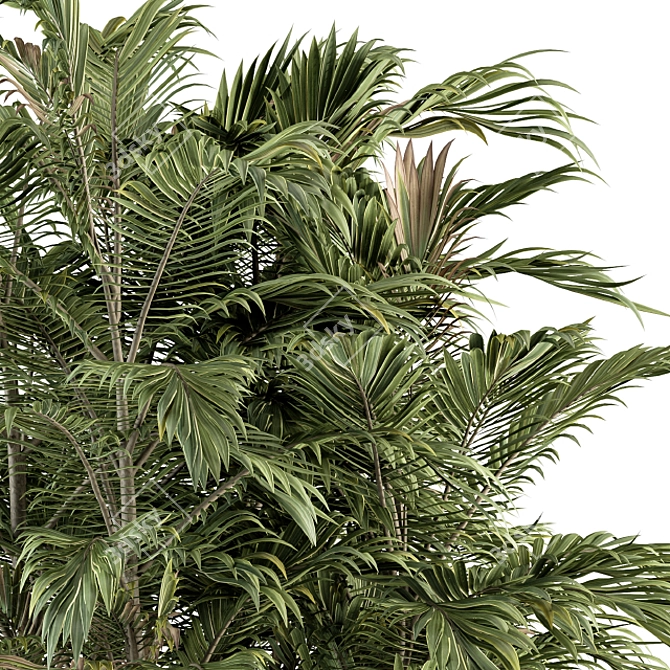 Exotic Outdoor Plant Set 3D model image 2